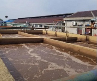 出水氨氮大于進水氨氮，怎么回事？