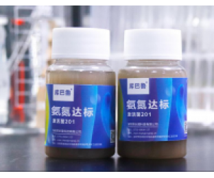 生化系統崩潰，氨氮超標，我該怎么辦?